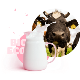 cow_and_milk